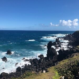 Black Rocks - Volcano Rocks (Bellevue)