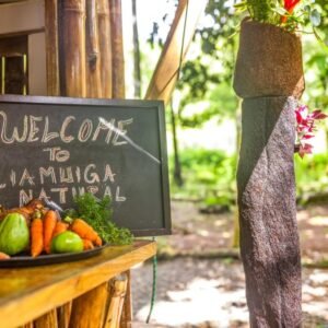 Liamugua Farm (Parish Molineux )