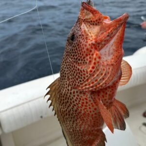 Sam the Man Fishing Charter & Tour