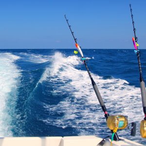 Speedy 4 Fishing Charters